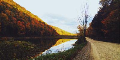 世界杯奖杯特写